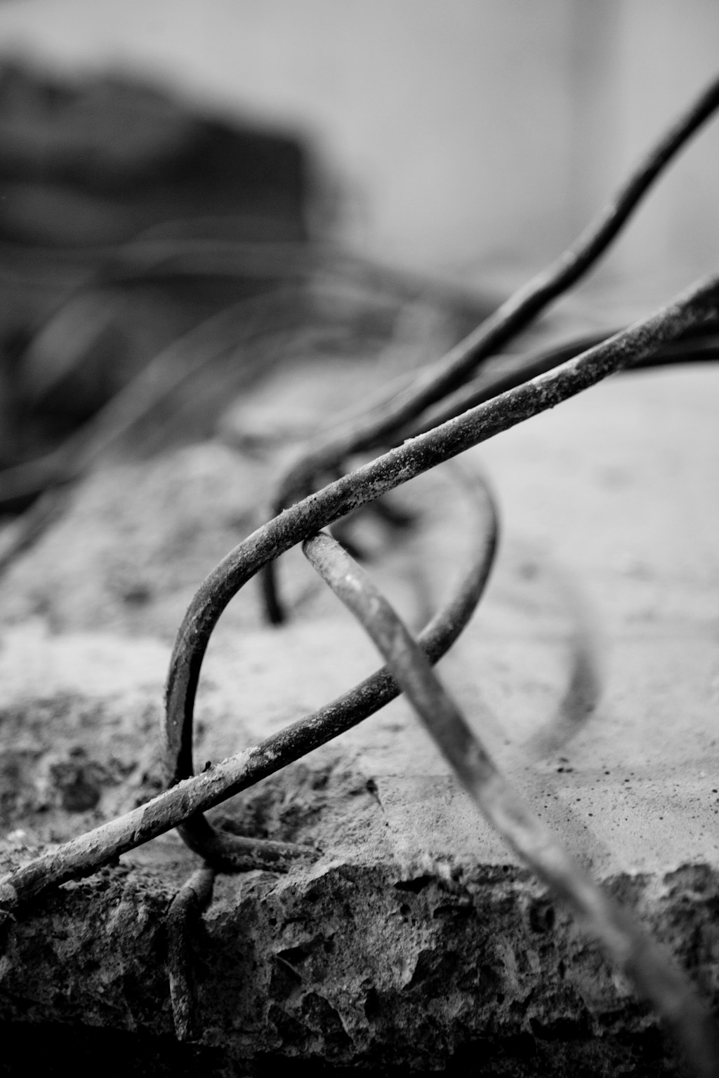 Masser (finnes også i farge)